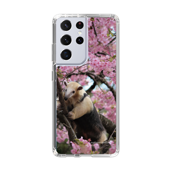 Slim Protection Case［ The Izu Animal Kingdom - Anteater ］