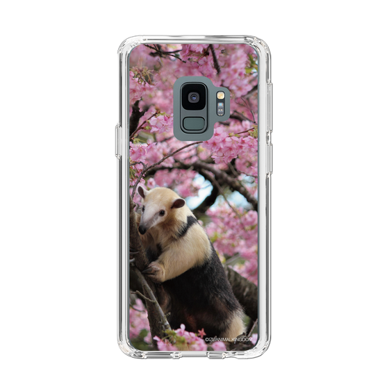 Slim Protection Case［ The Izu Animal Kingdom - Anteater ］