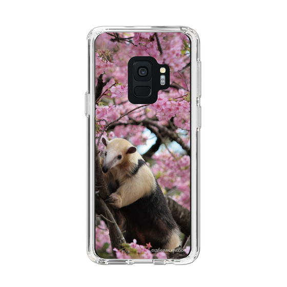 Slim Protection Case［ The Izu Animal Kingdom - Anteater ］