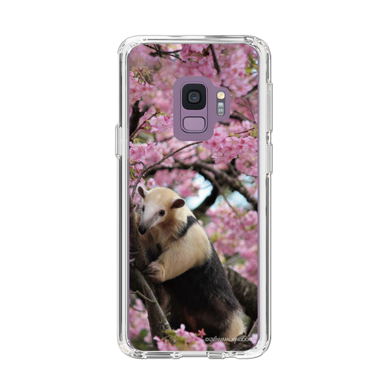 Slim Protection Case［ The Izu Animal Kingdom - Anteater ］