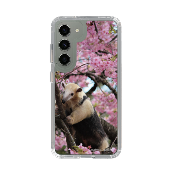 Slim Protection Case［ The Izu Animal Kingdom - Anteater ］