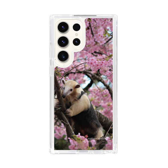 Slim Protection Case［ The Izu Animal Kingdom - Anteater ］