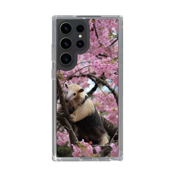 Slim Protection Case［ The Izu Animal Kingdom - Anteater ］