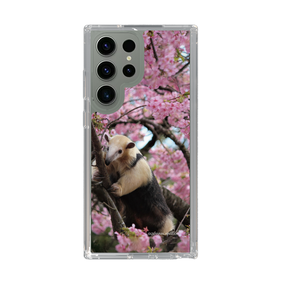 Slim Protection Case［ The Izu Animal Kingdom - Anteater ］
