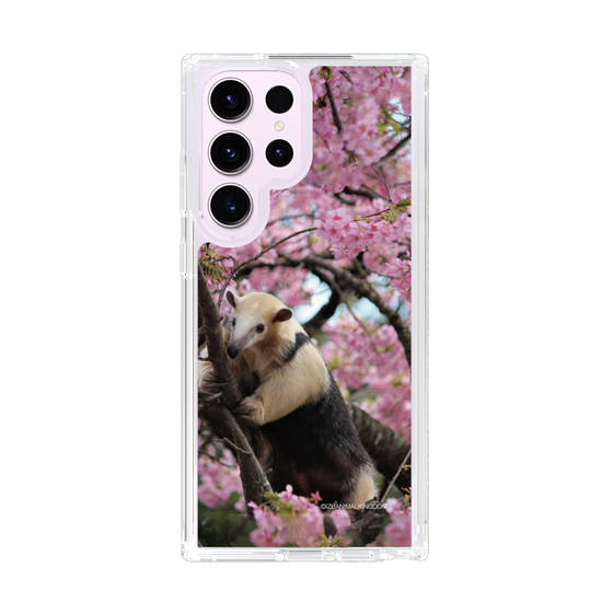 Slim Protection Case［ The Izu Animal Kingdom - Anteater ］
