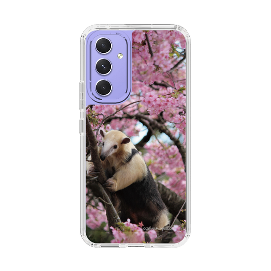 Slim Protection Case［ The Izu Animal Kingdom - Anteater ］
