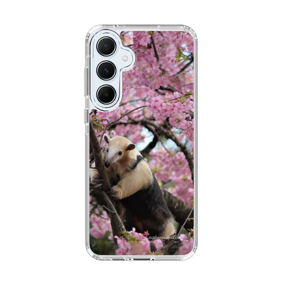 Slim Protection Case［ The Izu Animal Kingdom - Anteater ］
