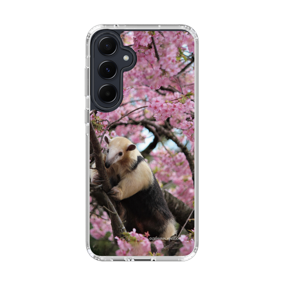 Slim Protection Case［ The Izu Animal Kingdom - Anteater ］