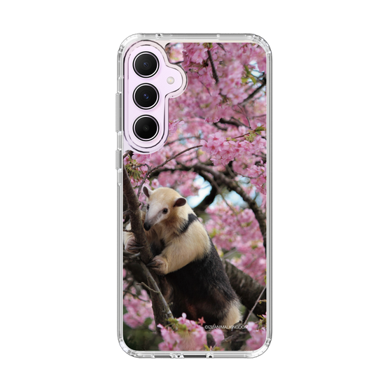 Slim Protection Case［ The Izu Animal Kingdom - Anteater ］
