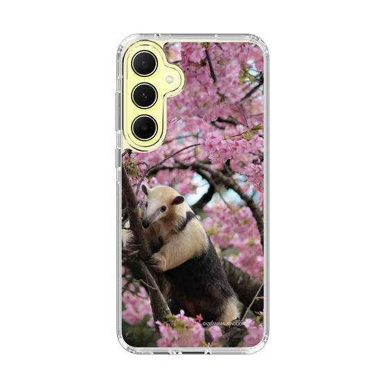 Slim Protection Case［ The Izu Animal Kingdom - Anteater ］