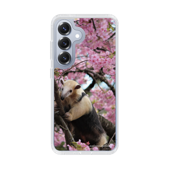 Slim Protection Case［ The Izu Animal Kingdom - Anteater ］