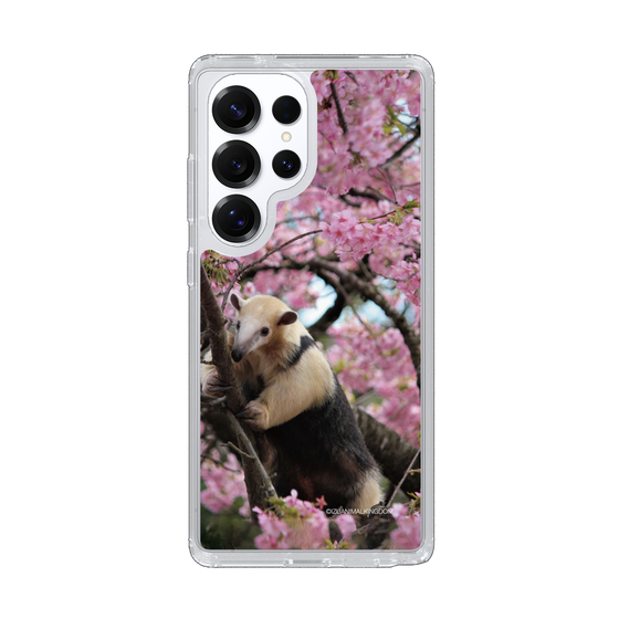 Slim Protection Case［ The Izu Animal Kingdom - Anteater ］