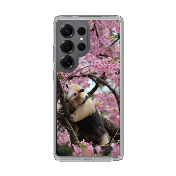 Slim Protection Case［ The Izu Animal Kingdom - Anteater ］