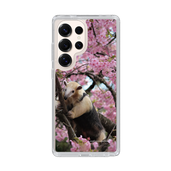 Slim Protection Case［ The Izu Animal Kingdom - Anteater ］