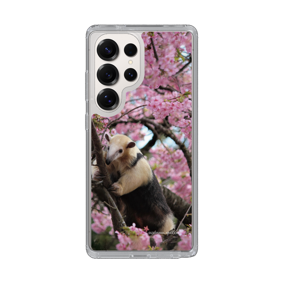 Slim Protection Case［ The Izu Animal Kingdom - Anteater ］