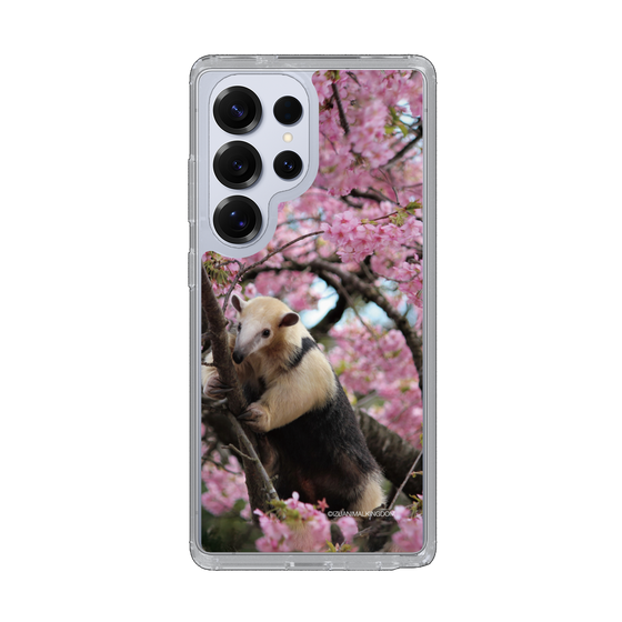 Slim Protection Case［ The Izu Animal Kingdom - Anteater ］