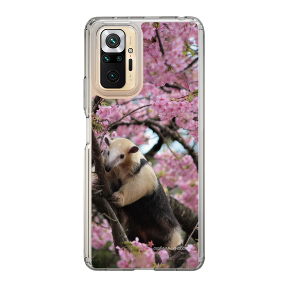 Slim Protection Case［ The Izu Animal Kingdom - Anteater ］