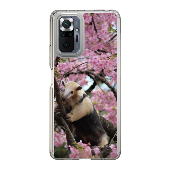 Slim Protection Case［ The Izu Animal Kingdom - Anteater ］
