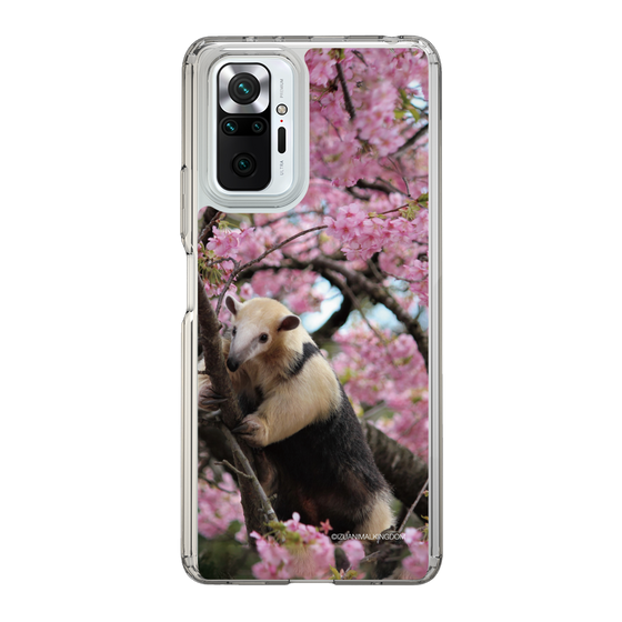 Slim Protection Case［ The Izu Animal Kingdom - Anteater ］