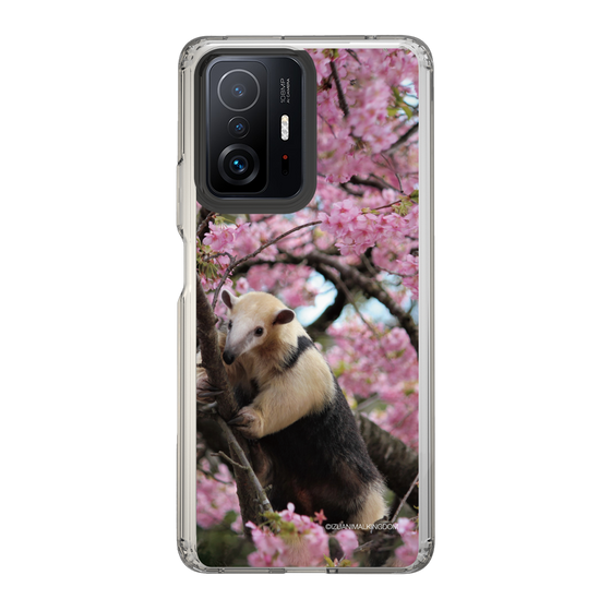 Slim Protection Case［ The Izu Animal Kingdom - Anteater ］