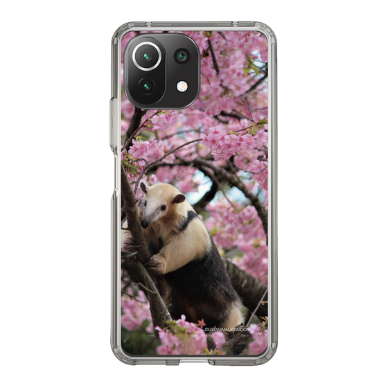 Slim Protection Case［ The Izu Animal Kingdom - Anteater ］