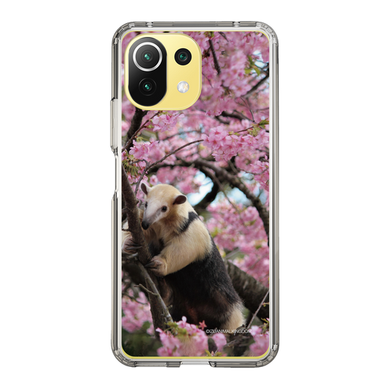 Slim Protection Case［ The Izu Animal Kingdom - Anteater ］