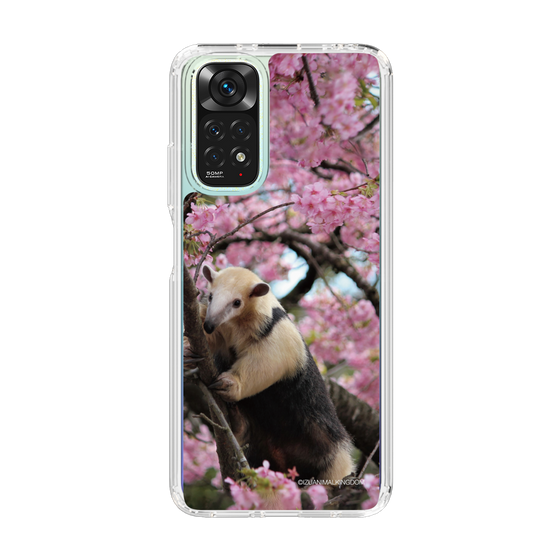 Slim Protection Case［ The Izu Animal Kingdom - Anteater ］