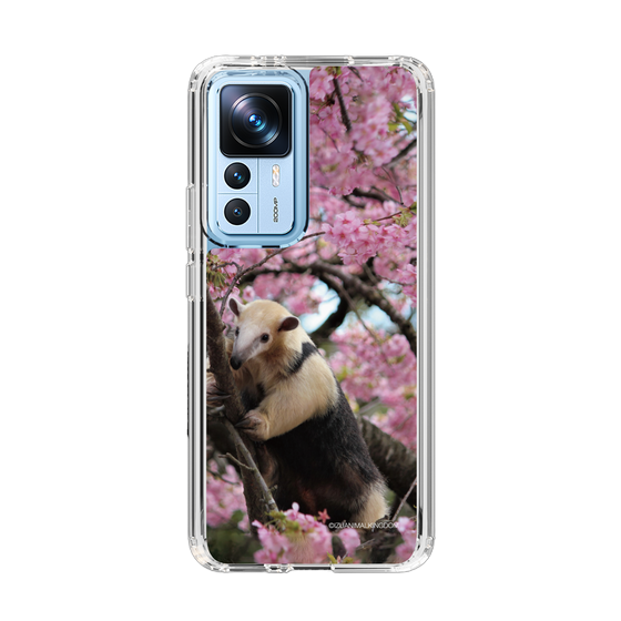 Slim Protection Case［ The Izu Animal Kingdom - Anteater ］