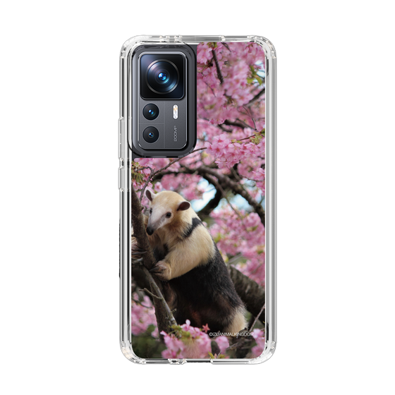 Slim Protection Case［ The Izu Animal Kingdom - Anteater ］