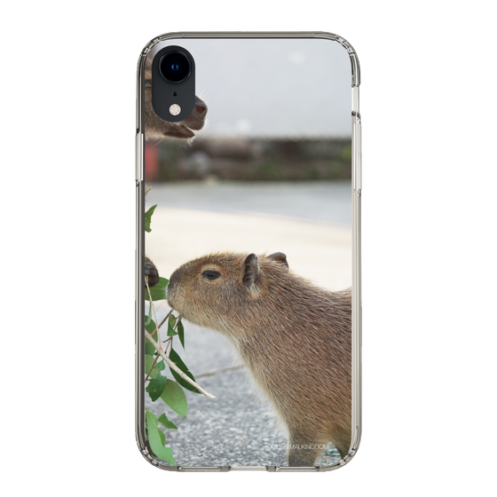 Slim Protection Case［ The Izu Animal Kingdom - Capybara ］