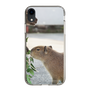 Slim Protection Case［ The Izu Animal Kingdom - Capybara ］