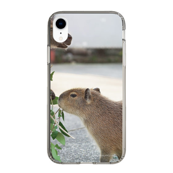 Slim Protection Case［ The Izu Animal Kingdom - Capybara ］