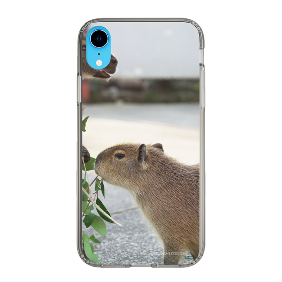 Slim Protection Case［ The Izu Animal Kingdom - Capybara ］