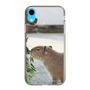 Slim Protection Case［ The Izu Animal Kingdom - Capybara ］