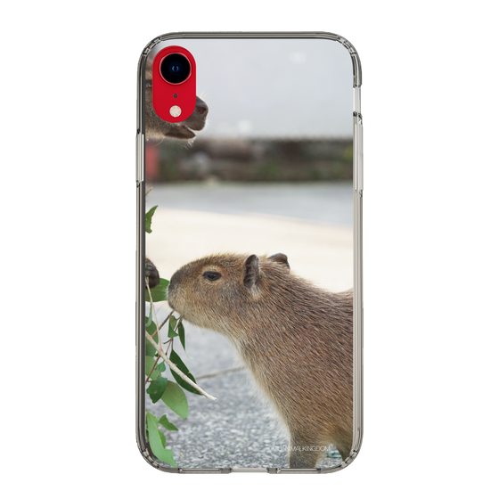 Slim Protection Case［ The Izu Animal Kingdom - Capybara ］