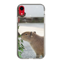 Slim Protection Case［ The Izu Animal Kingdom - Capybara ］