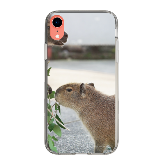 Slim Protection Case［ The Izu Animal Kingdom - Capybara ］
