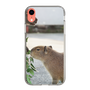 Slim Protection Case［ The Izu Animal Kingdom - Capybara ］