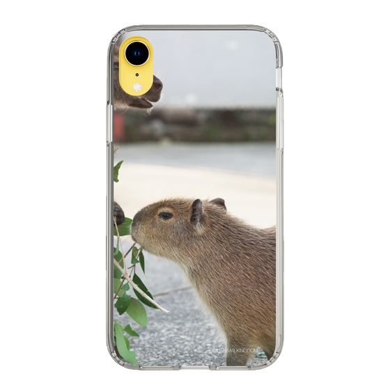 Slim Protection Case［ The Izu Animal Kingdom - Capybara ］