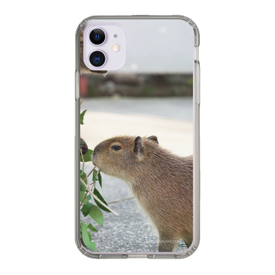 Slim Protection Case［ The Izu Animal Kingdom - Capybara ］