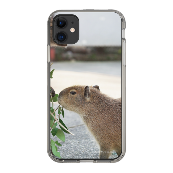 Slim Protection Case［ The Izu Animal Kingdom - Capybara ］