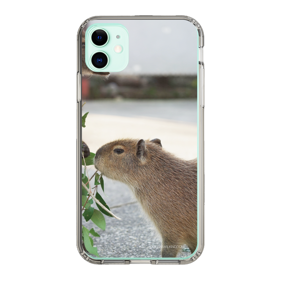 Slim Protection Case［ The Izu Animal Kingdom - Capybara ］