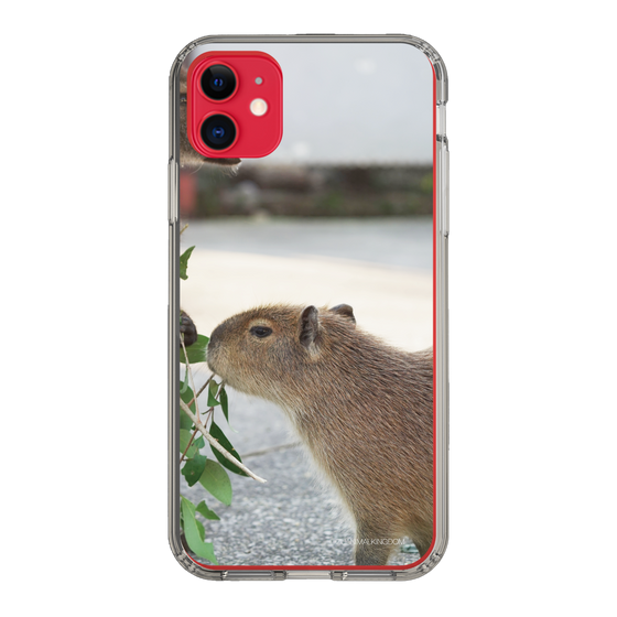 Slim Protection Case［ The Izu Animal Kingdom - Capybara ］