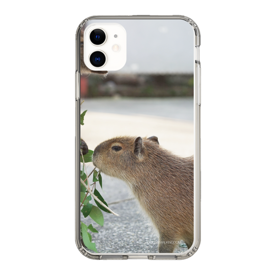 Slim Protection Case［ The Izu Animal Kingdom - Capybara ］