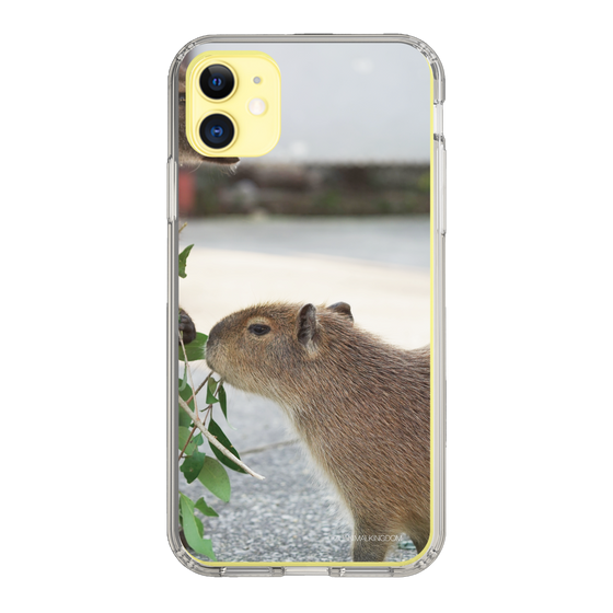 Slim Protection Case［ The Izu Animal Kingdom - Capybara ］