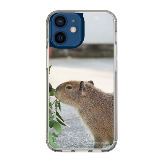 Slim Protection Case［ The Izu Animal Kingdom - Capybara ］