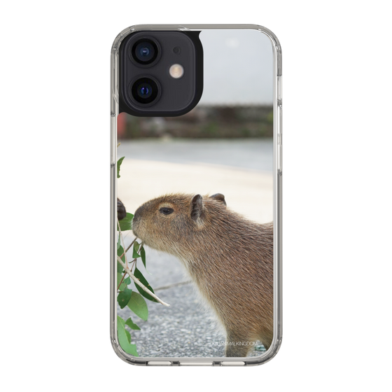 Slim Protection Case［ The Izu Animal Kingdom - Capybara ］