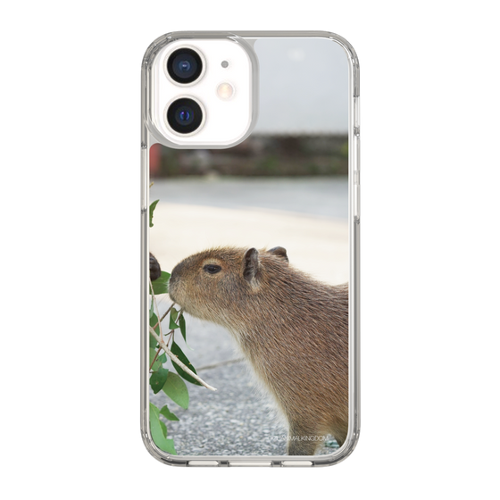 Slim Protection Case［ The Izu Animal Kingdom - Capybara ］