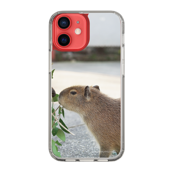 Slim Protection Case［ The Izu Animal Kingdom - Capybara ］