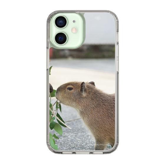 Slim Protection Case［ The Izu Animal Kingdom - Capybara ］